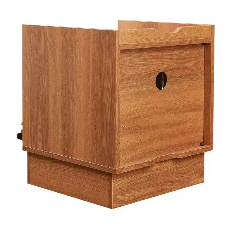 Comodino Moderno con 2 Cassetti, Luci LED e Porte di Ricarica, Ampio Spazio Contenitivo